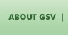 About GSV